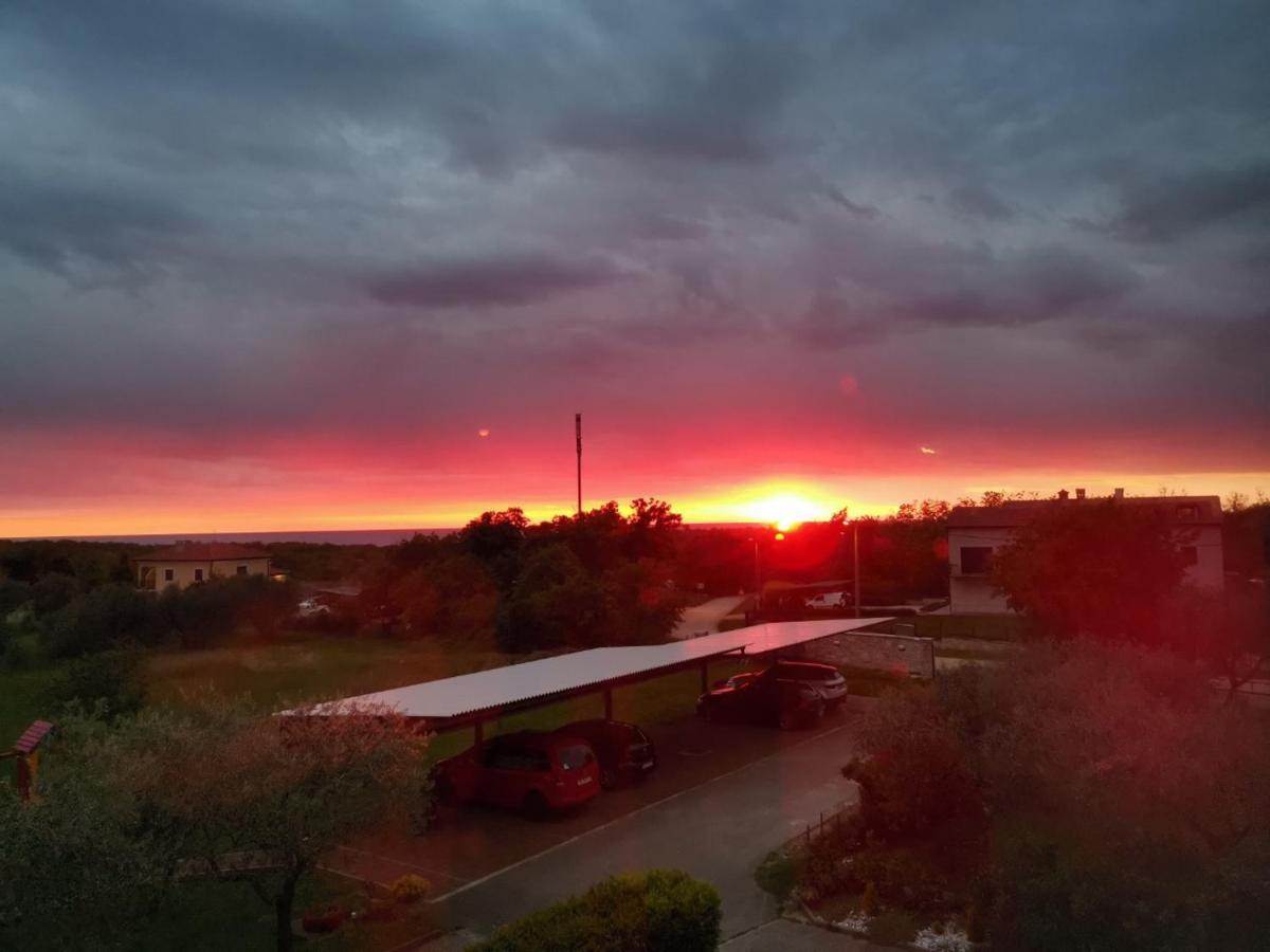 Apartments Villa Adamovic ウマグ エクステリア 写真
